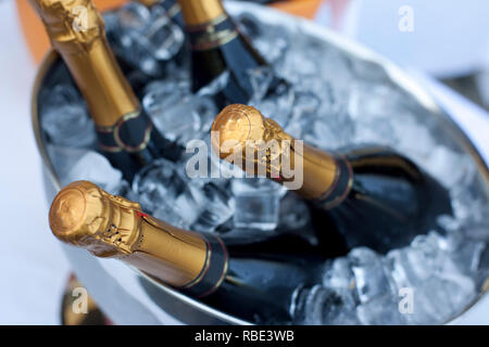 Quattro bottiglie di champagne in uno scambiatore di calore. Foto Stock