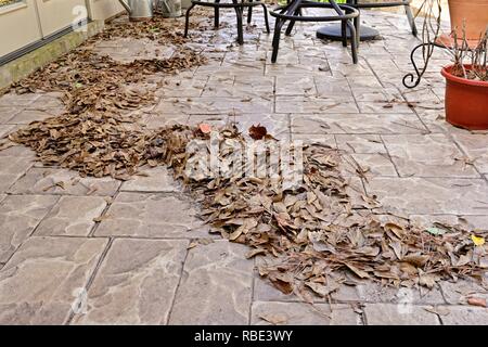 Cumulo di foglie morte su un patio esterno. Foto Stock