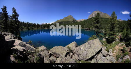 Panorama del Lago di Saoseo circondato da verdi boschi valle di Poschiavo Canton Grigioni Svizzera Europa Foto Stock