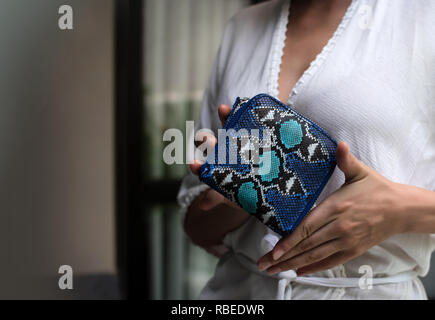 Elegante mani femminili holding snakeskin di lusso python wallet. Moda Donna accessorio. Gli eleganti accessori, blu python, vista dall'alto. Libera posto vuoto per il testo Foto Stock