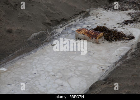 Lungo la passeggiata a mare di Santa Cruz, California , Stati Uniti Foto Stock