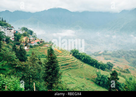 Muong Hoa Valle di riso terrazzati in campo SAPA, Vietnam Foto Stock