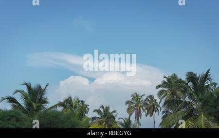 Formazioni di nubi in background su palme in riva al mare a Ouidah nel Golfo di Guinea. Dipartimento di Atlantique, Benin. Foto Stock