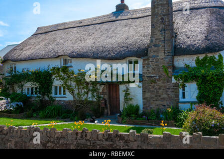 Cottage con tetto in paglia in costiera del villaggio vacanze di Croyde nella contea del Devon, South West England, Regno Unito Foto Stock