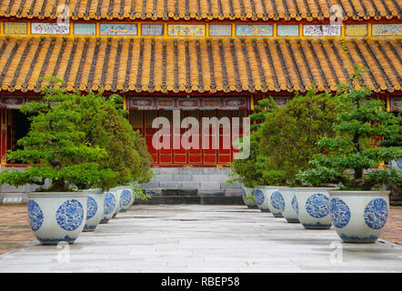 Alberi di Bonsai nella parte anteriore del tempio cambogiano Foto Stock