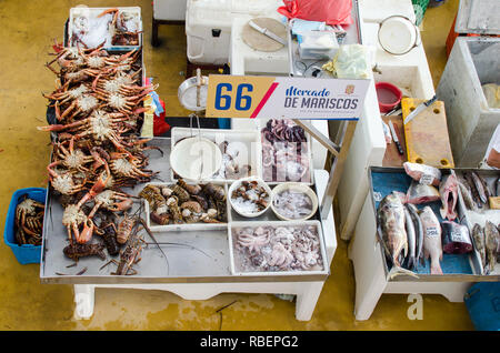 Si spegne a Panama City Mercato del Pesce Foto Stock