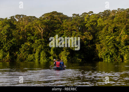 River safari, parco nazionale di Tortuguero, Costa Rica Foto Stock