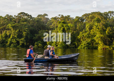 River safari, parco nazionale di Tortuguero, Costa Rica Foto Stock