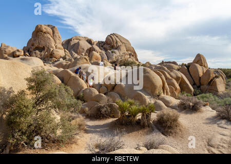 Le formazioni rocciose del cranio Rock area del Parco nazionale di Joshua Tree, California, Stati Uniti. Foto Stock