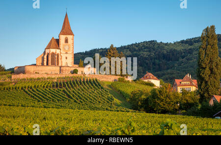 Alba presso la quattrocentesca chiesa di San Jacques circondato dai vigneti del Grand Cru in Hunawihr, Alsace Francia Foto Stock