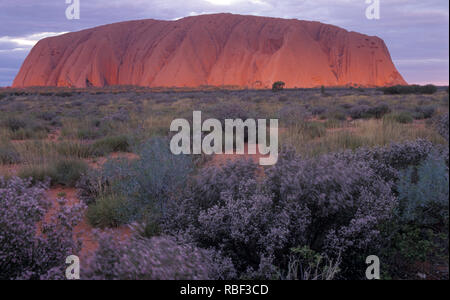 Uluru noto anche come Ayers Rock e ufficialmente gazetted come 'Uluru / Ayers Rock' è una grande roccia arenaria formazione nella parte meridionale della Norther Foto Stock