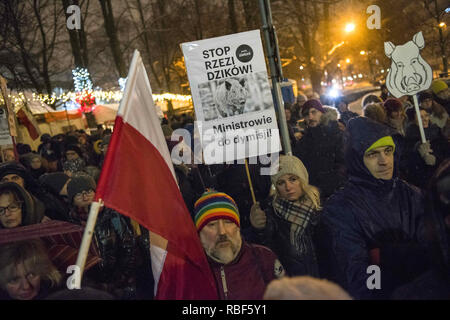 Varsavia, Mazowieckie, Polonia. Il 9 gennaio, 2019. Protester sono visti tenendo cartelli e bandiere polacche durante la protesta.Gli attivisti si erano radunati davanti al Parlamento e in tutto il paese per protestare. Il governo polacco e il Ministero dell'ambiente ha deciso che come parte della lotta contro la malattia di ASF (Peste suina africana), 210.000 cinghiali, comprese le scrofe gravide e dei suinetti svezzati, anche vivere in parchi nazionali, sarà slained in Polonia sui prossimi tre fine settimana. Le persone sono indignato e pensa che la politica del governo verso il virus è inetto. Dopo la macellazione di massa, Foto Stock