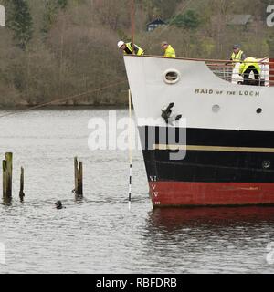 Balloch, Loch Lomond, UK. Decimo gen, 2019. Regno Unito. Tentativi di rimuovere la cameriera del Loch da Loch Lomond a Balloch oggi non è riuscito quando la culla che ha sostenuto il peso della nave strappato e la nave scivolato indietro nell'acqua. PS cameriera del Loch è l'ultimo battello a vapore costruito in Gran Bretagna e veniva rimosso per lavori di ristrutturazione e restauro scopi. Foto Stock