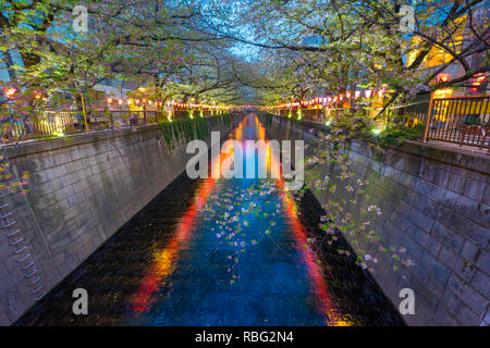 Fiume Meguro è famosa cherry blossom spots.Le persone vengono per il fiume Meguro a vedere il bellissimo fiore di ciliegio. Foto Stock