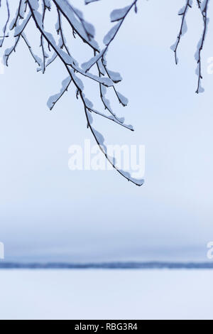 Close-up di rami nevoso contro il cielo nuvoloso in inverno. Sfocati lago innevato e orizzonte è in background. Foto minimalista, tonalità di blu. Foto Stock