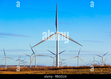 Whitelee wind farm, possedute da Scottish Power rinnovabili, una parte della società spagnola Iberdrola, è il più grande onshore wind farm NEL REGNO UNITO Foto Stock