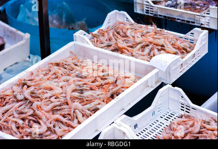 Rosso fresco gamberi per la vendita nel mercato del pesce di Catania, Sicilia, Italia Foto Stock