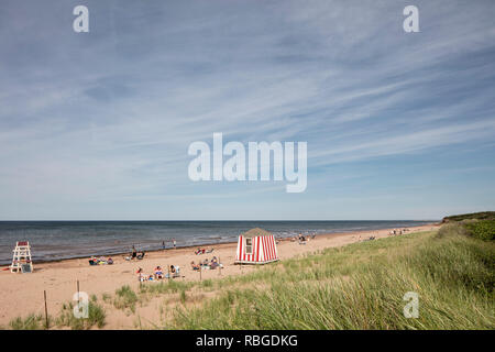 STANHOPE, Prince Edward Island, Canada - Luglio 8, 2018: turisti di visitare la spiaggia di Stanhope al Prince Edward Island National Park (Brackley-Dalvay), Foto Stock