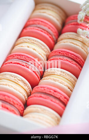 Corallo e torte beige macarons o amaretti in una scatola regalo bianca. Il concetto di giorno di San Valentino e la molla è in festa. Foto Stock