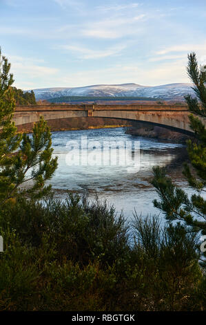 Il nuovo Spey ponte sopra il fiume Spey, Grantown on Spey, Scozia Foto Stock