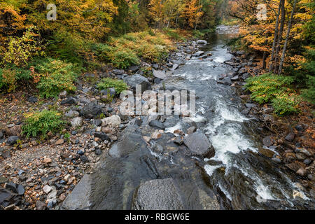 Il nuovo Rifugio fiume scorre attraverso il paesaggio autunnale, Bristol, Vermont, USA. Foto Stock