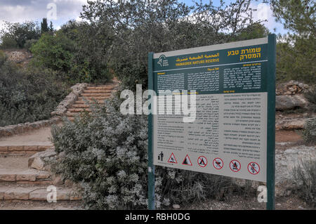 Hamasrek (Pettine) riserva naturale è un bosco situato nelle colline di Gerusalemme, Israele Foto Stock