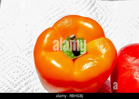 Un colore arancio capsicum contro un bianco di sfondo testurizzata Foto Stock