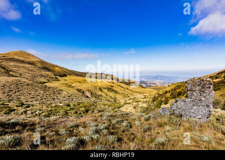 Paramo de Oceta e il suo Espeletia Frailejones Mongui Boyaca in Colombia Sud America Foto Stock