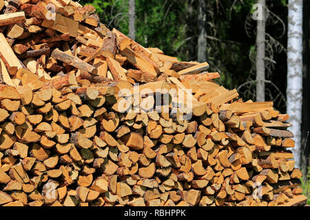 Tritate, dimezzata e ordinatamente impilati di legna da ardere immagazzinata in corrispondenza del bordo della foresta in estate. Foto Stock