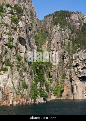 Un giorno di crociera del fiordo Lysefjorden in oriente di Stavanger, Norvegia, audaci alberi e ripide e aspre montagne dritto nel fiordo Foto Stock