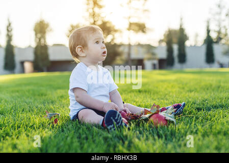 Carino il bambino gioca con le mele su un prato verde in natura in una giornata di sole. Il concetto di uno-anno-vecchio figlio Foto Stock