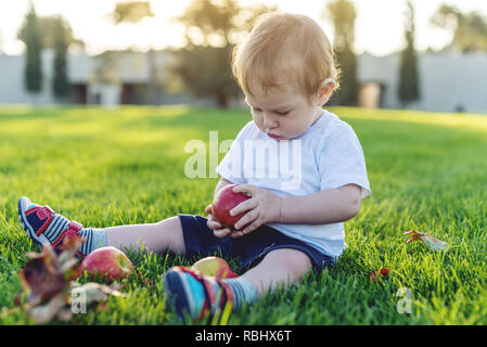 Carino il bambino gioca con le mele su un prato verde in natura in una giornata di sole. Il concetto di uno-anno-vecchio figlio Foto Stock