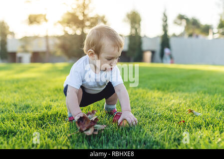 Carino il bambino gioca con le mele su un prato verde nel Parco. Il concetto di uno-anno-vecchio figlio Foto Stock