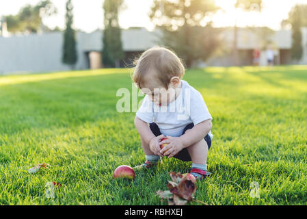 Carino il bambino gioca con le mele su un prato verde nel Parco. Il concetto di uno-anno-vecchio figlio Foto Stock