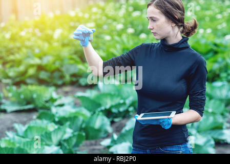 Un giovane agronomo pretty woman tenendo un campione di suolo e una compressa. Concetto ecologico di produzione agricola senza nitrati. Foto Stock