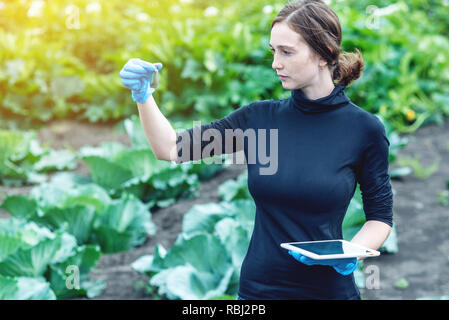 Un giovane agronomo pretty woman tenendo un campione di suolo e una compressa. Concetto ecologico di produzione agricola senza nitrati. Foto Stock