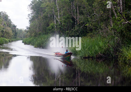 Una velocità di canoa lungo del Borneo Sungai Sekonyer river, il Tanjung messa Parco Nazionale sulla sua sinistra Foto Stock