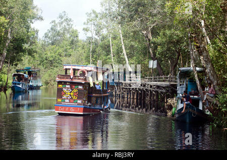 In una banca di fiume nel Borneo il Tanjung messa Parco Nazionale klotoks o houseboats, vengono ormeggiate; i loro passeggeri sono turisti venuti a vedere il parco orangutan Foto Stock