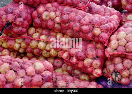 Sacchetti di mele in vendita in una fattoria in Quebec Foto Stock