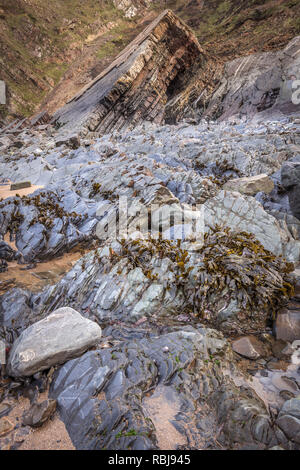 Le spettacolari scogliere a Hartland Quay, famoso per contrabbandieri, naufragi e contorto strati di roccia, giacciono lungo parte della famosa costa sud-ovest Foto Stock