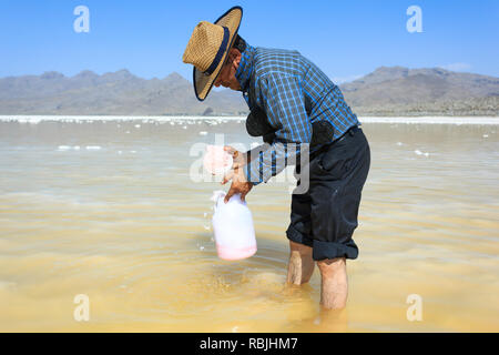 L'uomo in acque poco profonde di Salt Lake Urmia è il prelievo di sale dal pavimento del lago, West Azerbaijan provincia, Iran Foto Stock