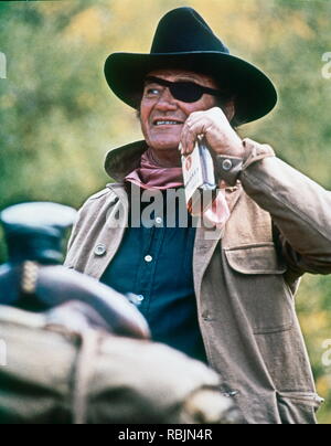 Il Grinta è un 1969 western americano film diretto da Henry Hathaway e interpretato da Kim Darby come Mattie Ross e John Wayne come Stati Uniti Il maresciallo Rooster Cogburn. È il primo film di adattamento di Charles Portis' 1968 romanzo dello stesso nome. La sceneggiatura è stata scritta da Marguerite Roberts. Wayne ha vinto il suo unico Academy Award per la sua performance nel film e reprised il suo ruolo per il 1975 sequel Rooster Cogburn. Credito: Hollywood Archivio foto / MediaPunch Foto Stock