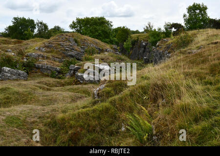 Ubley Warren su Mendip Hills nel Somerset, qui illustrati sono elaborate le vene di minerali o "rastrelli.Questi sono tra i miei irregolare funzionamento Foto Stock