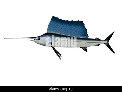 Marlin e pesca sportiva nell'oceano Illustrazione Vettoriale