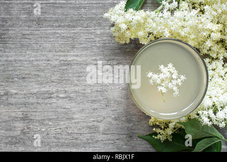 Fiori di sambuco bere bianco su sfondo di legno. sano drink a base di erbe. vista superiore con spazio di copia Foto Stock