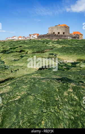 Jurassic strati rocciosi esposti a bassa marea e Fort Mahon a Ambleteuse roccioso lungo la costa del Mare del Nord, Côte d'Opale / Opal Coast, Francia Foto Stock