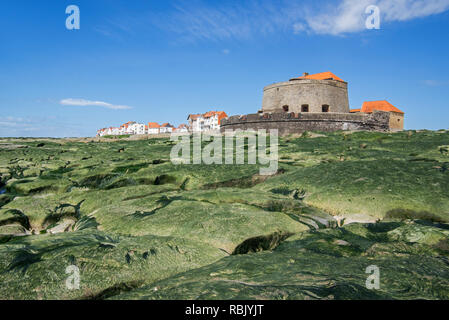 Jurassic strati rocciosi esposti a bassa marea e Fort Mahon a Ambleteuse roccioso lungo la costa del Mare del Nord, Côte d'Opale / Opal Coast, Francia Foto Stock