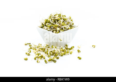 Mung bean i germogli in porcellana bianca piatto salsa Foto Stock