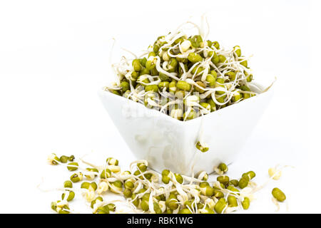 Mung bean i germogli in porcellana bianca piatto salsa Foto Stock