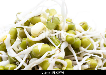 Mung bean germogli macro Foto Stock